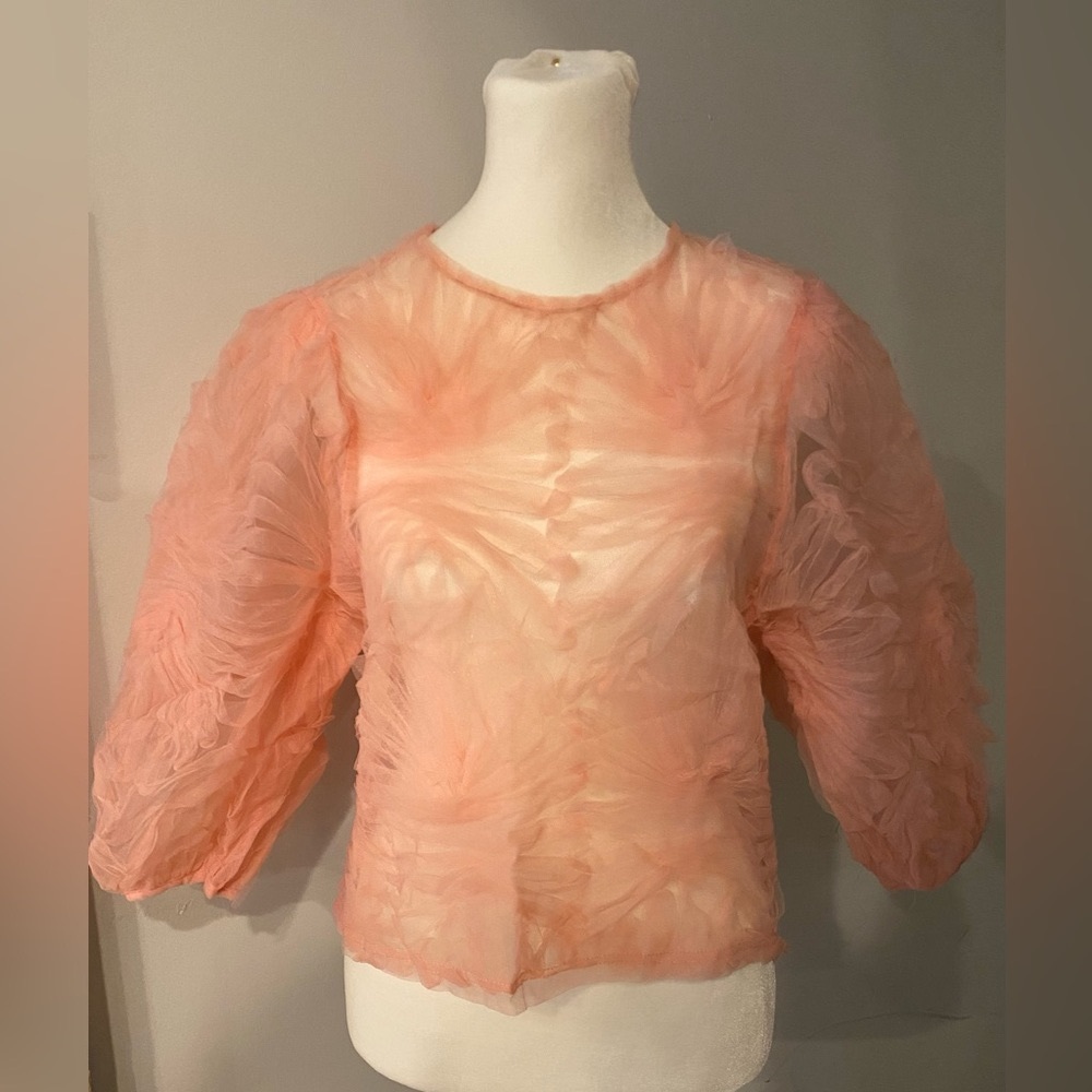 Zara Sheer, designed pink shirt with bow in back-